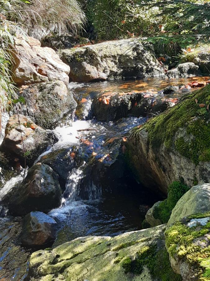 Anno - Wohlfuehlen Am Bachal In Altschoenau Neuschoenau Luaran gambar
