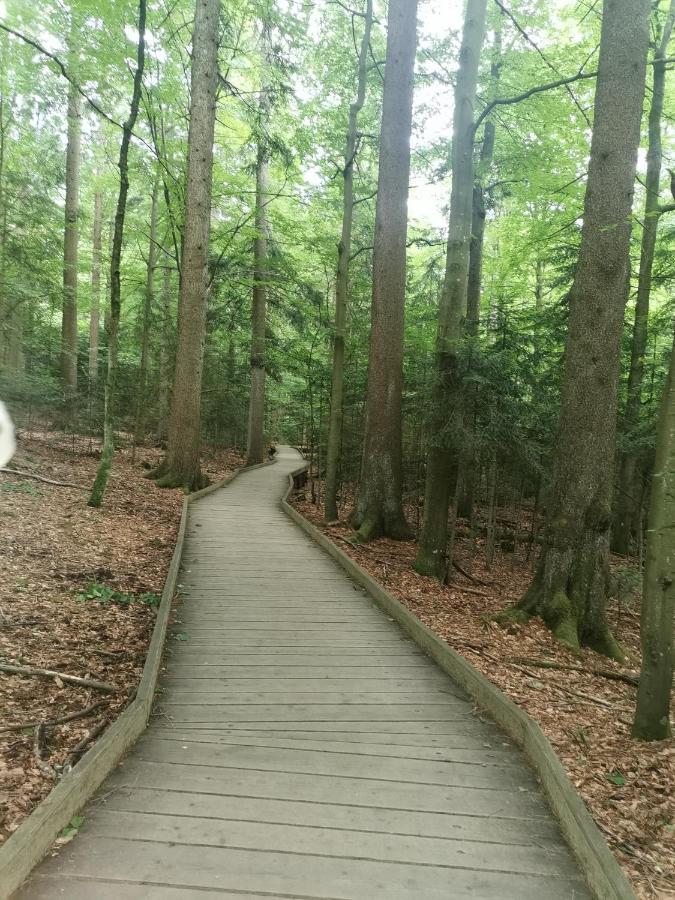 Anno - Wohlfuehlen Am Bachal In Altschoenau Neuschoenau Luaran gambar